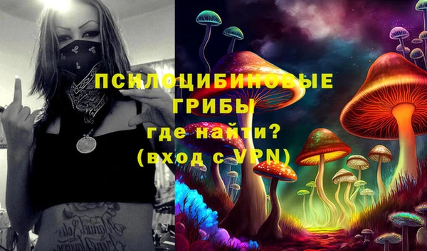 mdpv Магадан