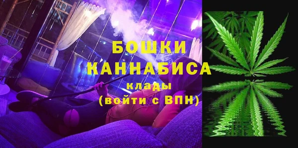 ПСИЛОЦИБИНОВЫЕ ГРИБЫ Ессентукская
