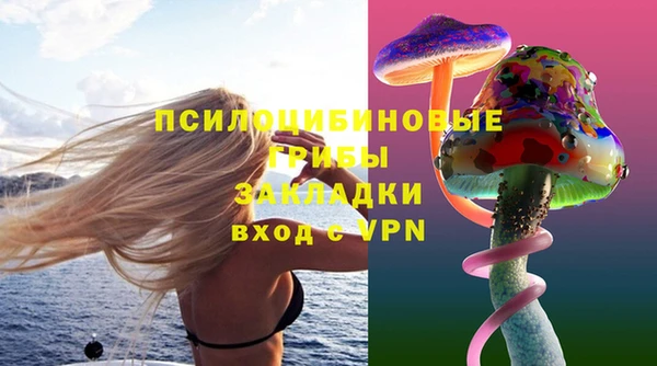 дурь Магас