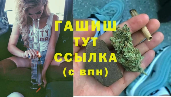 дурь Магас
