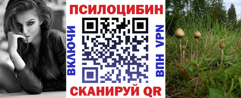 наркошоп  Назрань  Галлюциногенные грибы MAGIC MUSHROOMS 
